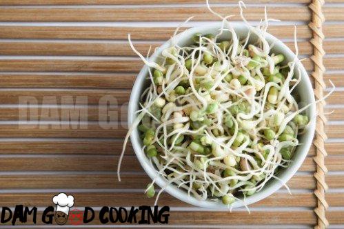 4. Bean Sprouts - 25 Foods You Can Re-Grow Yourself from Kitchen Scraps