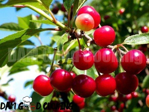 20. Cherries - 25 Foods You Can Re-Grow Yourself from Kitchen Scraps