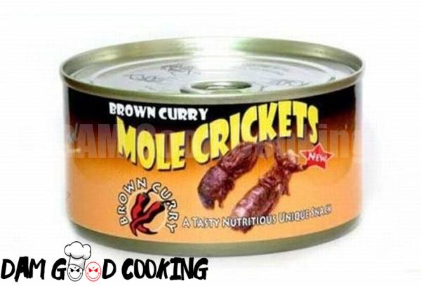 Disgusting Canned Food You would never eat. (15)