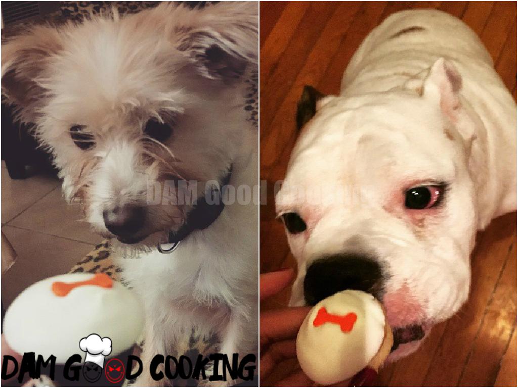 doggiecupcake